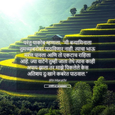 Picture 05 - उत्पत्ति 42:38 MARIRV - परंतु याकोब - Bible Verse Picture