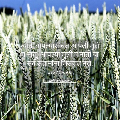 Picture 05 - उत्पत्ति 46:7 MARIRV - त्याने आपल्यासोबत - Bible Verse Picture