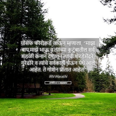 Picture 05 - उत्पत्ति 47:1 MARIRV - योसेफ फारोकडे - Bible Verse Picture