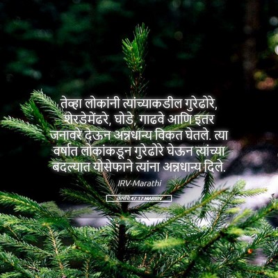 Picture 05 - उत्पत्ति 47:17 MARIRV - तेव्हा लोकांनी - Bible Verse Picture