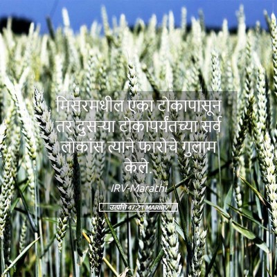 Picture 05 - उत्पत्ति 47:21 MARIRV - मिसरमधील एका - Bible Verse Picture
