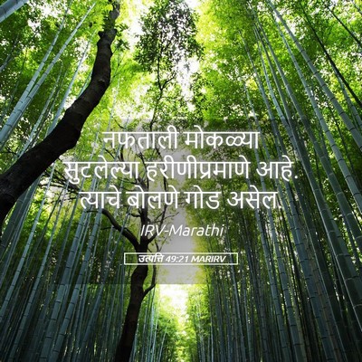 Picture 05 - उत्पत्ति 49:21 MARIRV - नफताली मोकळ्या - Bible Verse Picture