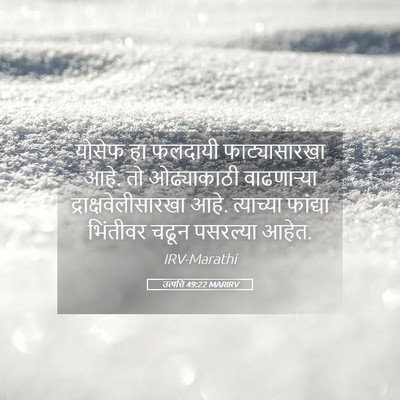 Picture 05 - उत्पत्ति 49:22 MARIRV - योसेफ हा फलदायी - Bible Verse Picture