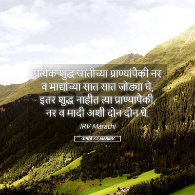 Picture 05 - उत्पत्ति 7:2 MARIRV - प्रत्येक शुद्ध - Bible Verse Picture