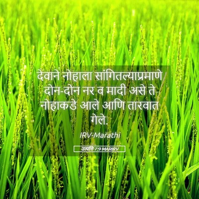 Picture 05 - उत्पत्ति 7:9 MARIRV - देवाने नोहाला - Bible Verse Picture