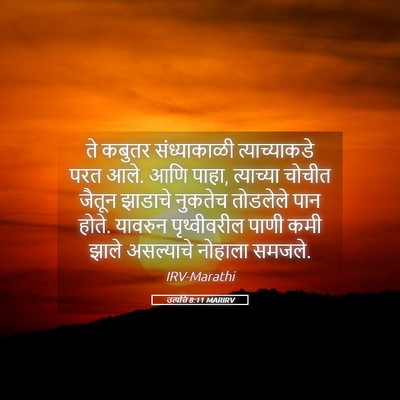 Picture 05 - उत्पत्ति 8:11 MARIRV - ते कबुतर - Bible Verse Picture