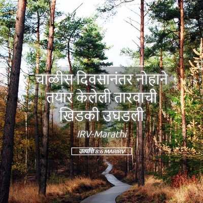 Picture 05 - उत्पत्ति 8:6 MARIRV - चाळीस दिवसानंतर - Bible Verse Picture