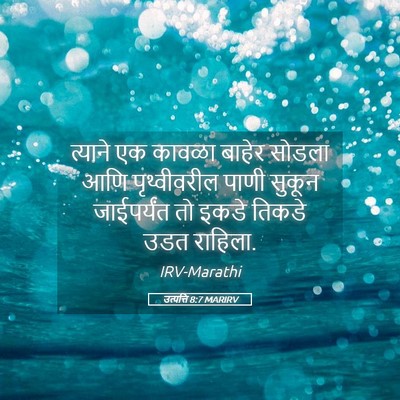 Picture 05 - उत्पत्ति 8:7 MARIRV - त्याने एक कावळा - Bible Verse Picture