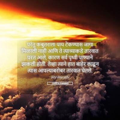 Picture 05 - उत्पत्ति 8:9 MARIRV - परंतु कबुतराला - Bible Verse Picture