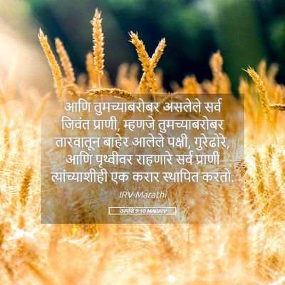 Picture 05 - उत्पत्ति 9:10 MARIRV - आणि तुमच्याबरोबर - Bible Verse Picture