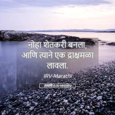 Picture 05 - उत्पत्ति 9:20 MARIRV - नोहा शेतकरी बनला, - Bible Verse Picture