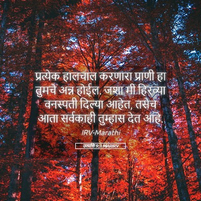 Picture 05 - उत्पत्ति 9:3 MARIRV - प्रत्येक हालचाल - Bible Verse Picture