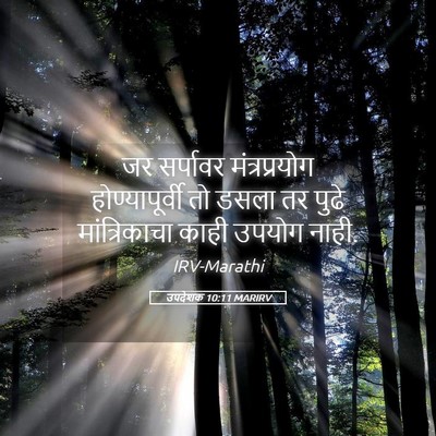 Picture 05 - उपदेशक 10:11 MARIRV - जर सर्पावर - Bible Verse Picture