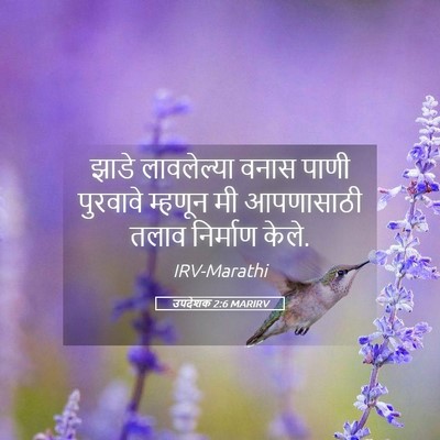 Picture 05 - उपदेशक 2:6 MARIRV - झाडे लावलेल्या - Bible Verse Picture