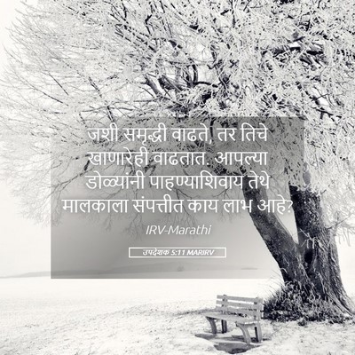 Picture 05 - उपदेशक 5:11 MARIRV - जशी समृद्धी वाढते, - Bible Verse Picture