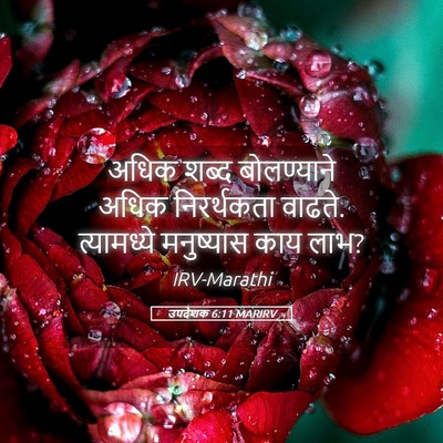 Picture 05 - उपदेशक 6:11 MARIRV - अधिक शब्द - Bible Verse Picture