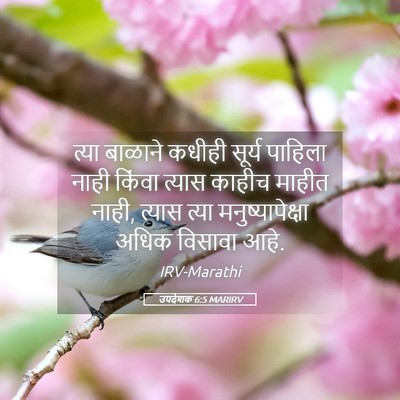 Picture 05 - उपदेशक 6:5 MARIRV - त्या बाळाने कधीही - Bible Verse Picture