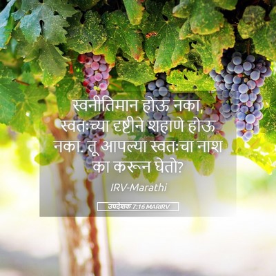 Picture 05 - उपदेशक 7:16 MARIRV - स्वनीतिमान होऊ - Bible Verse Picture