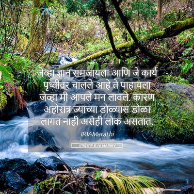 Picture 05 - उपदेशक 8:16 MARIRV - जेव्हा ज्ञान - Bible Verse Picture