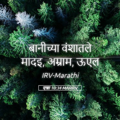 Picture 05 - एज्रा 10:34 MARIRV - बानीच्या वंशातले - Bible Verse Picture