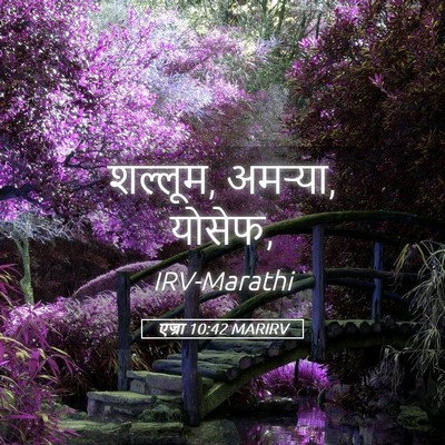 Picture 05 - एज्रा 10:42 MARIRV - शल्लूम, अमऱ्या, - Bible Verse Picture