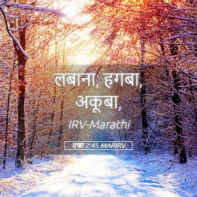 Picture 05 - एज्रा 2:45 MARIRV - लबाना, हगबा, - Bible Verse Picture