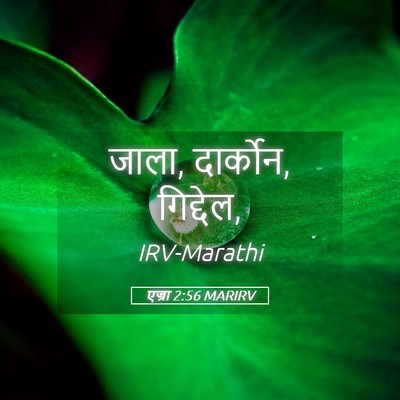 Picture 05 - एज्रा 2:56 MARIRV - जाला, दार्कोन, - Bible Verse Picture