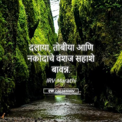 Picture 05 - एज्रा 2:60 MARIRV - दलाया, तोबीया आणि - Bible Verse Picture