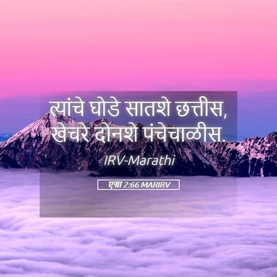 Picture 05 - एज्रा 2:66 MARIRV - त्यांचे घोडे - Bible Verse Picture