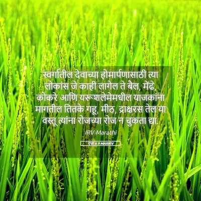 Picture 05 - एज्रा 6:9 MARIRV - स्वर्गातील - Bible Verse Picture