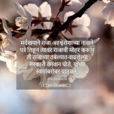 Picture 05 - एस्तेर 8:10 MARIRV - मर्दखयाने राजा - Bible Verse Picture