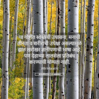 Picture 05 - कलस्सैकरांस 2:23 MARIRV - या गोष्टींत - Bible Verse Picture