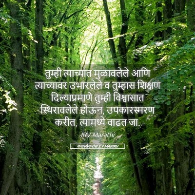 Picture 05 - कलस्सैकरांस 2:7 MARIRV - तुम्ही त्याच्यात - Bible Verse Picture