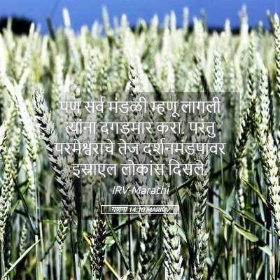 Picture 05 - गणना 14:10 MARIRV - पण सर्व मंडळी - Bible Verse Picture