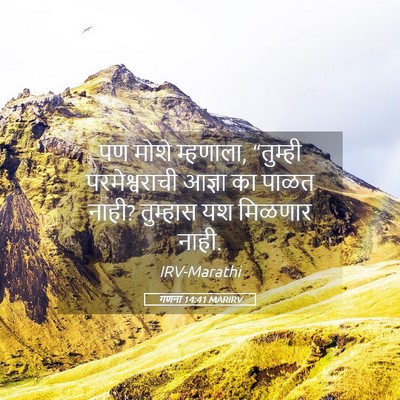 Picture 05 - गणना 14:41 MARIRV - पण मोशे म्हणाला, - Bible Verse Picture
