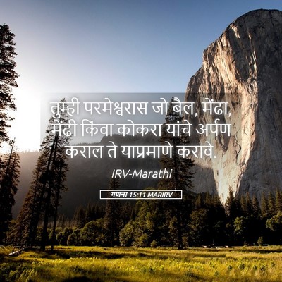 Picture 05 - गणना 15:11 MARIRV - तुम्ही परमेश्वरास - Bible Verse Picture