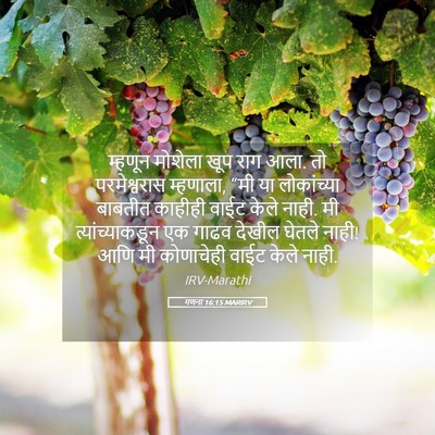 Picture 05 - गणना 16:15 MARIRV - म्हणून मोशेला खूप - Bible Verse Picture