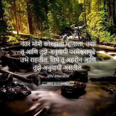 Picture 05 - गणना 16:16 MARIRV - नंतर मोशे कोरहाला - Bible Verse Picture