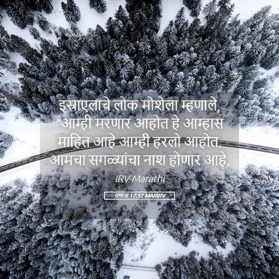 Picture 05 - गणना 17:12 MARIRV - इस्राएलाचे लोक - Bible Verse Picture