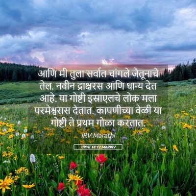 Picture 05 - गणना 18:12 MARIRV - आणि मी तुला सर्वात - Bible Verse Picture