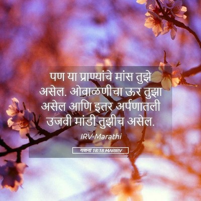 Picture 05 - गणना 18:18 MARIRV - पण या प्राण्यांचे - Bible Verse Picture