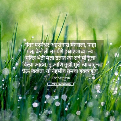 Picture 05 - गणना 18:8 MARIRV - नंतर परमेश्वर - Bible Verse Picture