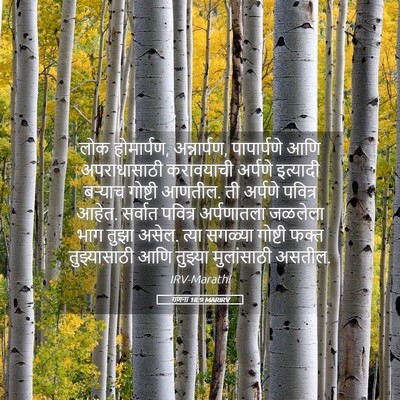 Picture 05 - गणना 18:9 MARIRV - लोक होमार्पण, - Bible Verse Picture