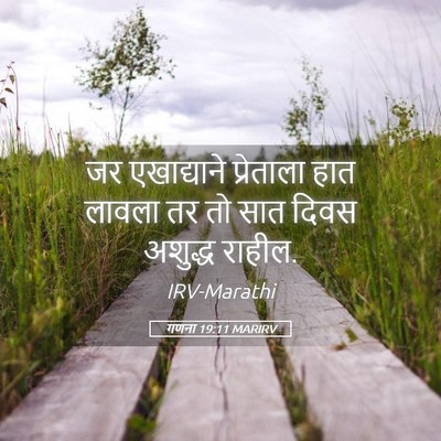 Picture 05 - गणना 19:11 MARIRV - जर एखाद्याने - Bible Verse Picture