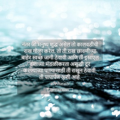 Picture 05 - गणना 19:9 MARIRV - नंतर जो मनुष्य - Bible Verse Picture
