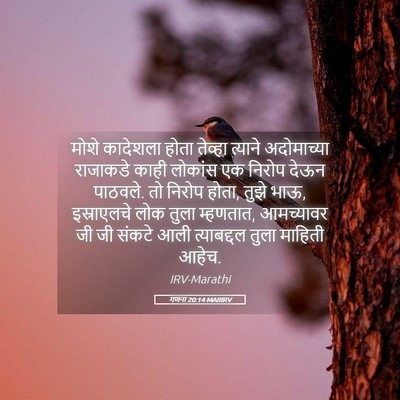 Picture 05 - गणना 20:14 MARIRV - मोशे कादेशला होता - Bible Verse Picture