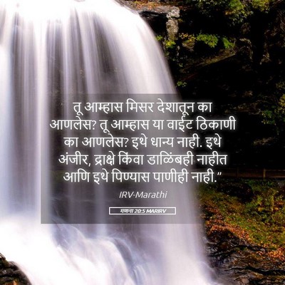 Picture 05 - गणना 20:5 MARIRV - तू आम्हास मिसर - Bible Verse Picture