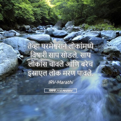 Picture 05 - गणना 21:6 MARIRV - तेव्हा - Bible Verse Picture