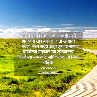 Picture 05 - गणना 21:9 MARIRV - मोशेने - Bible Verse Picture