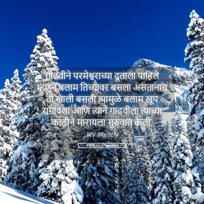 Picture 05 - गणना 22:27 MARIRV - गाढवीने - Bible Verse Picture